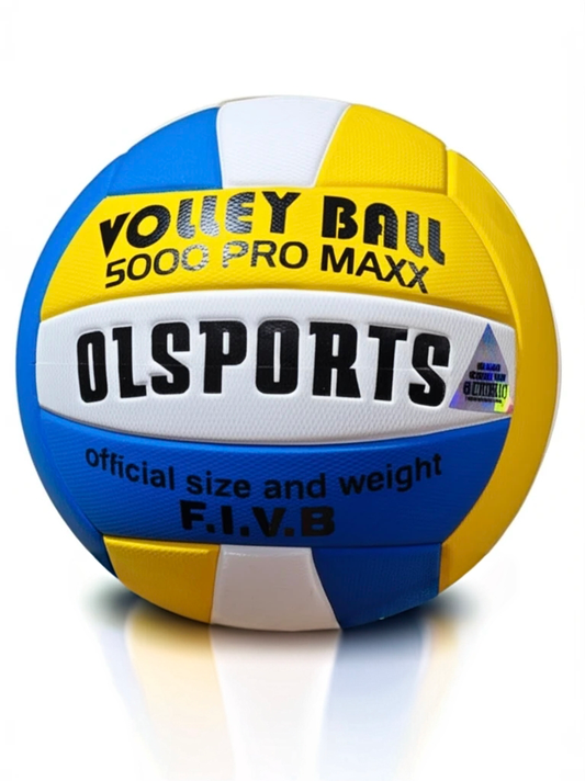Balón voley old sport (Newgol)