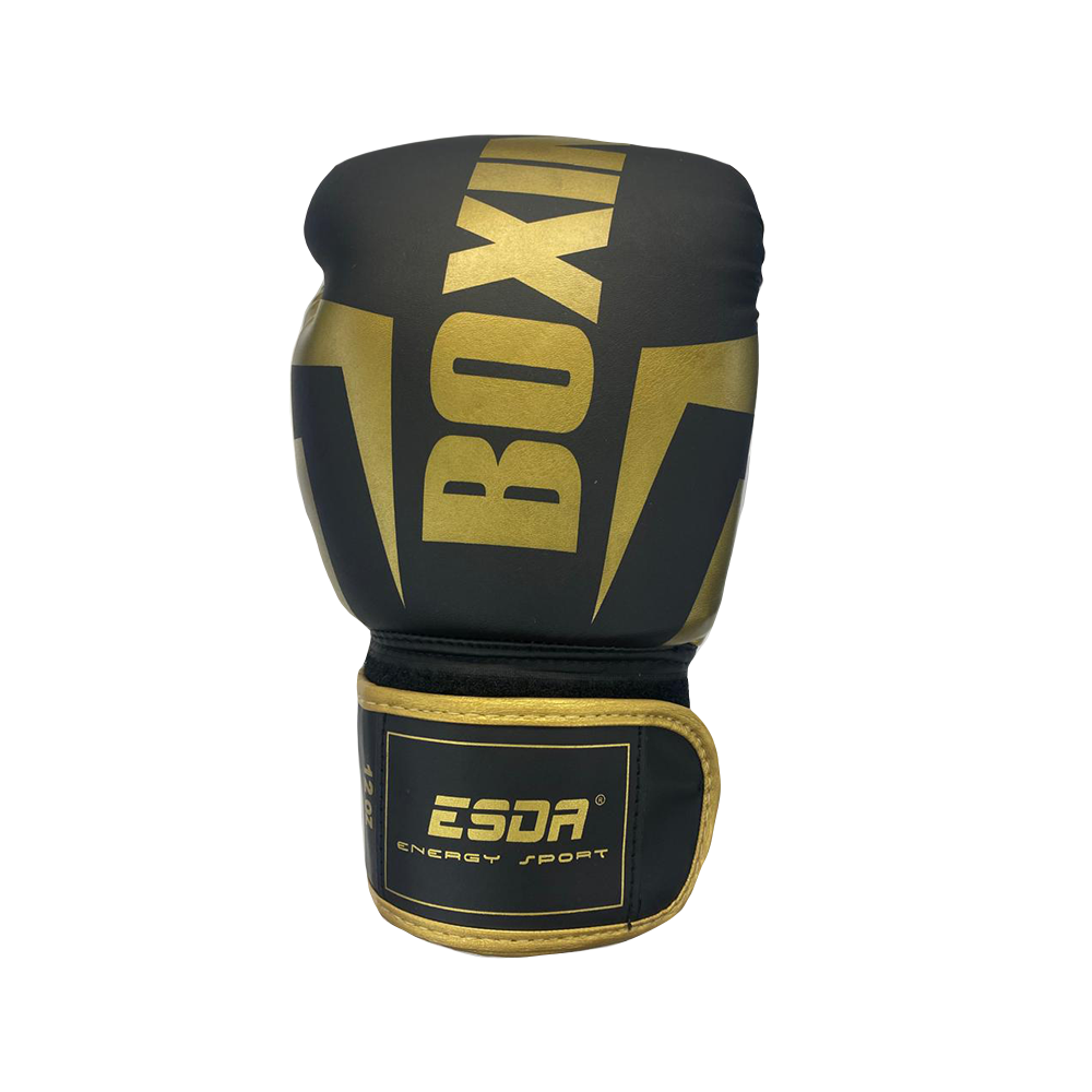 Guante de Boxeo ESDA